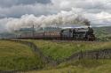 Cumbrian Five