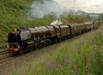 Duchess at Shap