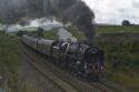 Ollie On The Moorlander
