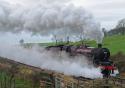 Steamy Leander