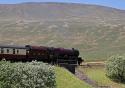 Whernside And A Princess