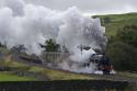 Steam A Plenty