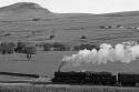 A Fell And A Fellsman