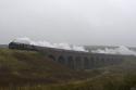 Damp At Dandry Mire