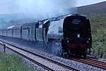 Steam Shots