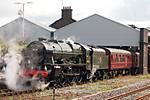 Scots Guardsman