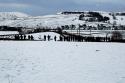 Mad Dogs And Englishmen