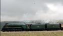 60019 Bittern At Selside