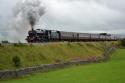 44932 On The Waverley