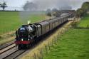 Train Of Hope
