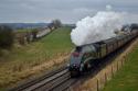 60009 In Better Weather