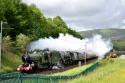 5043 and 46233 Race Back Down Shap