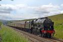 Scots Guardsman And Her Train.