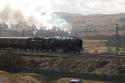 Cromwell Tackles Shap
