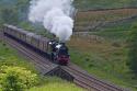 Leander With The Dalesman