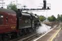 Dorset Coast Express (3)