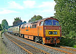 D1015