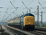 55 019