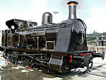 Bellerophon, prior to running, at Shildon