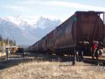 tanker frieght train passing through banff.canada.