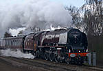 6233  Duches of Sutherland
