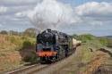 Nymr
