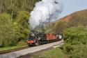 Nymr