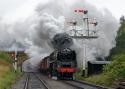 Nymr 9f has 23 Posts.