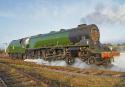 Duchess Of Sutherland