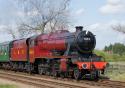 Close Up Of 8f 8624