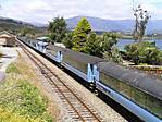 Tranzalpine train at Moana