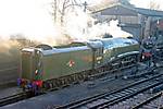 60019 Bittern