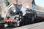 Standard Tank at Kingscote