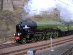 'Tornado' at Waverley.