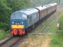 Midland Railway Centre Diesel Day.