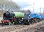 60532 Blue Peter and 60007 Sir Nigel Gresley @ Barrow Hill Roundhouse 04.04