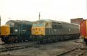 56033+46004