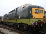 D9016 GORDON HIGHLANDER 02 04 09