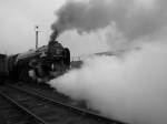 Noisy A1 off Shed- Barrow Hill 02 04 09