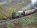 Branch Line Peppercorn 31 10 09