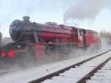 Red 8 For Winter - GCR 26 01 2013
