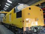 37100 SHADES OF YELLOW! 10 11 07