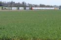 WCML -Fields Near Tring - 15 03 14