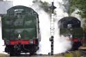 9f And Ivatt Tenders