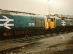 Scrapper 50 010 with 50 042 - Laira 1983