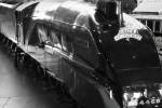 LNER A4 4468 MALLARD- York MPD