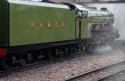 No 1 Green Goddess - New Romney 22 08 10