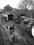 Shed Scene