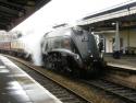 60019 Bittern Paignton