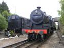 West Somerset 'mixed' Gala 11/12th June 2011